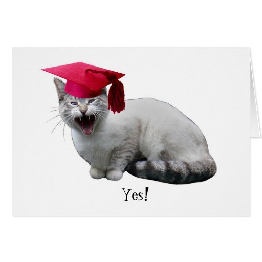 graduation autograph cat