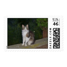 Cat Green Eyes Postage Stamp