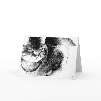 Cat Greeting Card card