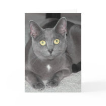 Cat Greeting Card by ArtistNikki Cat Greeting Card