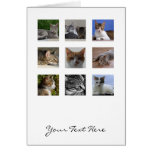 Cat Greeting Card