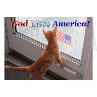 Cat greeting card for patriotic holidays, cat greeting cards