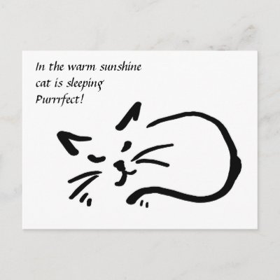 Haiku Cat