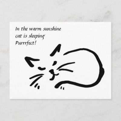 cat haiku