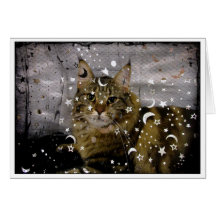 Cat Halloween or any-occasion greeting card