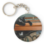 Cat-hangin in there key chain
