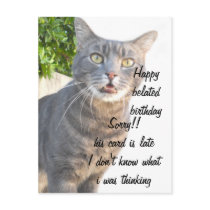 Cat, Happy belated birthdays_ Postcard