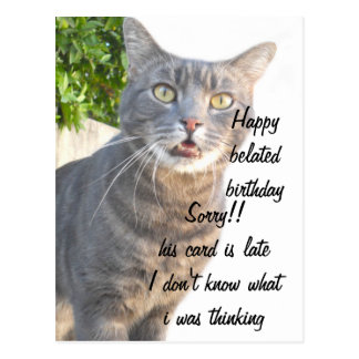 Cat Belated Birthday Gifts On Zazzle