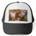 cat hats by fander cat hats
