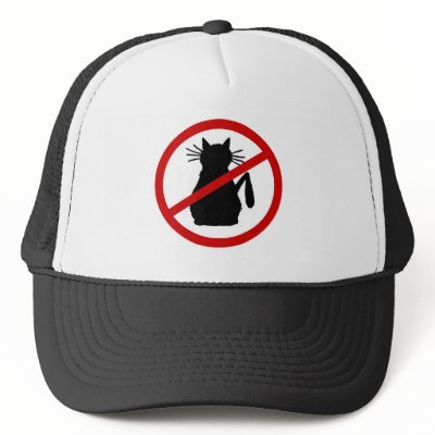 cat in hat. Cat hater hat by chowmember