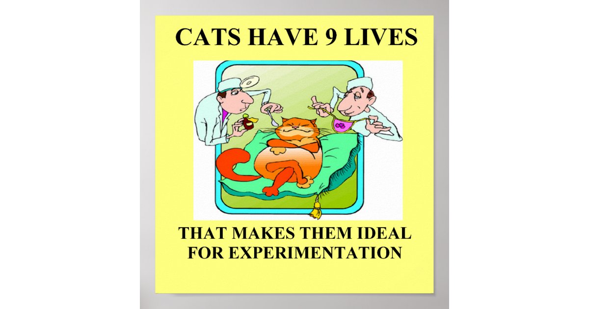 cat haters biology joke poster Zazzle
