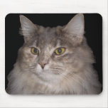 Cat Head on Mouse Pad mousepads
