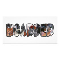 Cat Hoarder photo cards by ColorShow Cat Hoarder photo cards