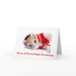 Cat Holiday Card