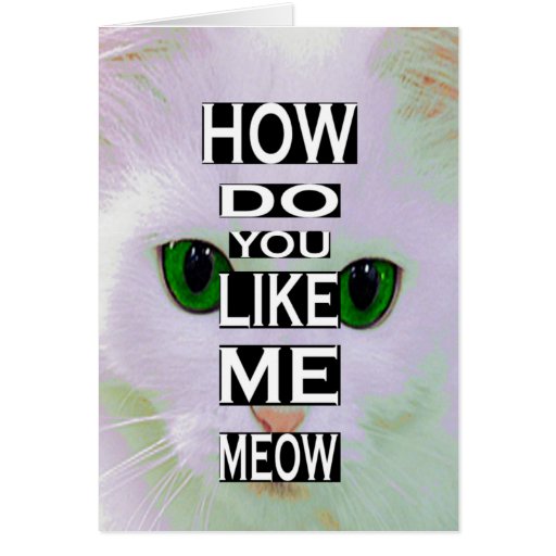 Cat How Do You Like Me Meow Kitty Greeting Card