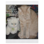 CAT HUMOR FLYERS