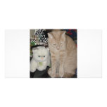 CAT HUMOR PHOTO CARDS