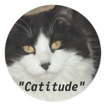 Cat Humor stickers