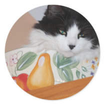 Cat Humor stickers