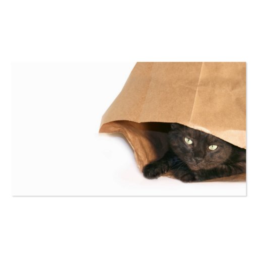 Cat in a bag profile card business cards