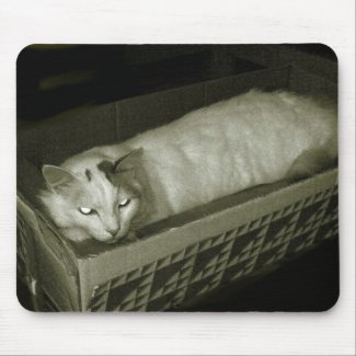 cat in a box mousepad
