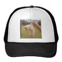 Cat in a cacoon trucker hat