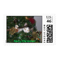 Cat in a Christmas Tree take 2 Stamps