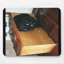 cat in a drawer mousepad