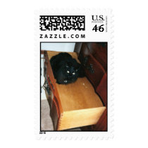cat in a drawer stamp by lizzymmmcf cat in a drawer stamp