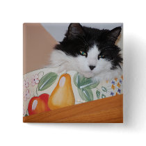 Cat in a Fruit Bowl Pins