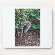 cat in a garden mouse pad