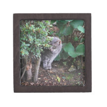 cat in a garden premium trinket boxes