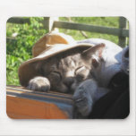 Cat In A Hat Mouse Pad