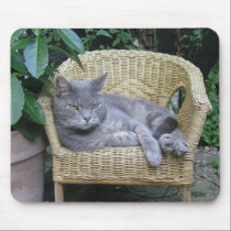 Cat in a Kid's Chair mousepads