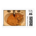 Cat In A Sink stamp