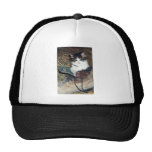 Cat in Boot Hat