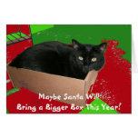 Cat In Box Christmas Card
