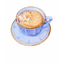 Cat in Coffee t-shirts