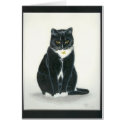 Cat in coloured Pencil cards by pencilpetportraits Cat in coloured Pencil cards