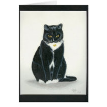 Cat in coloured Pencil cards