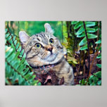 Cat in Ferns and Leaves Posters