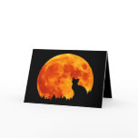 Cat in full orange Moon cards