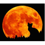 Cat in full orange Moon Cut Outs