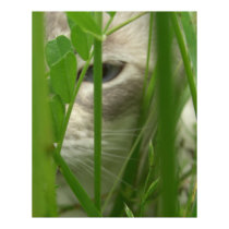 Cat in Grass Large Posters and Prints by wingedturtle Cat in Grass Large Posters and Prints