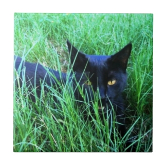 Cat in Grass Tile