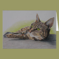 Cat in green card cards