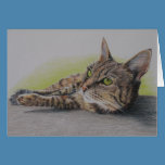 Cat in green card by artworkbyandrea Cat in green card