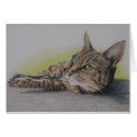 Cat in green card by artworkbyandrea Cat in green card