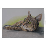 Cat in green card
