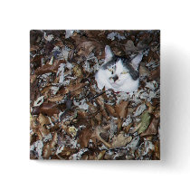 Cat In Leaves buttons